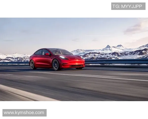 特斯拉足球球星的崛起与挑战：从天才少年到世界级球员的传奇之路